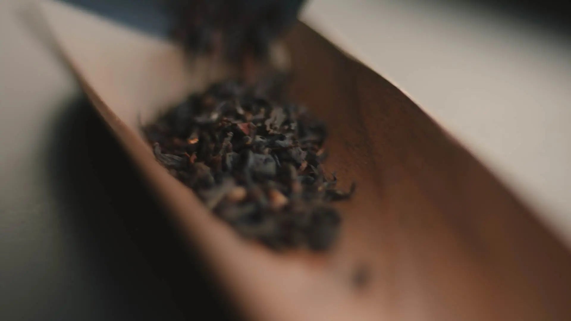 Welcher Tee macht wach? - Noema