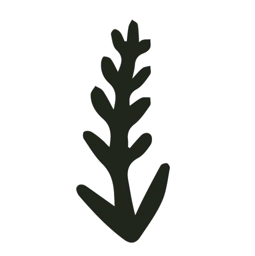 lavender-icon - Noema