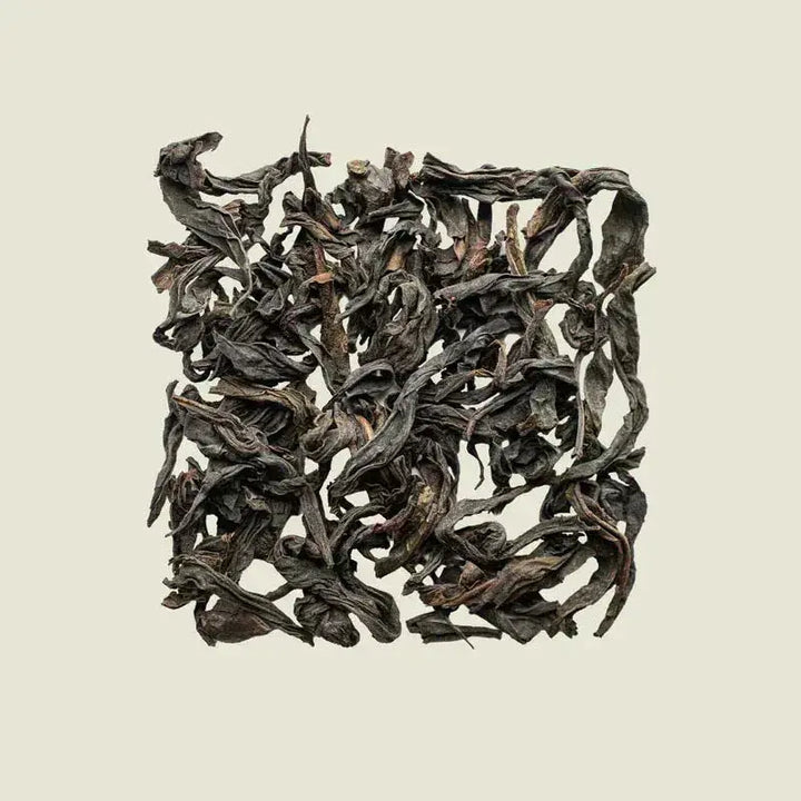 Da Hong Pao - Noema - Loser Tee von oben fotografiert