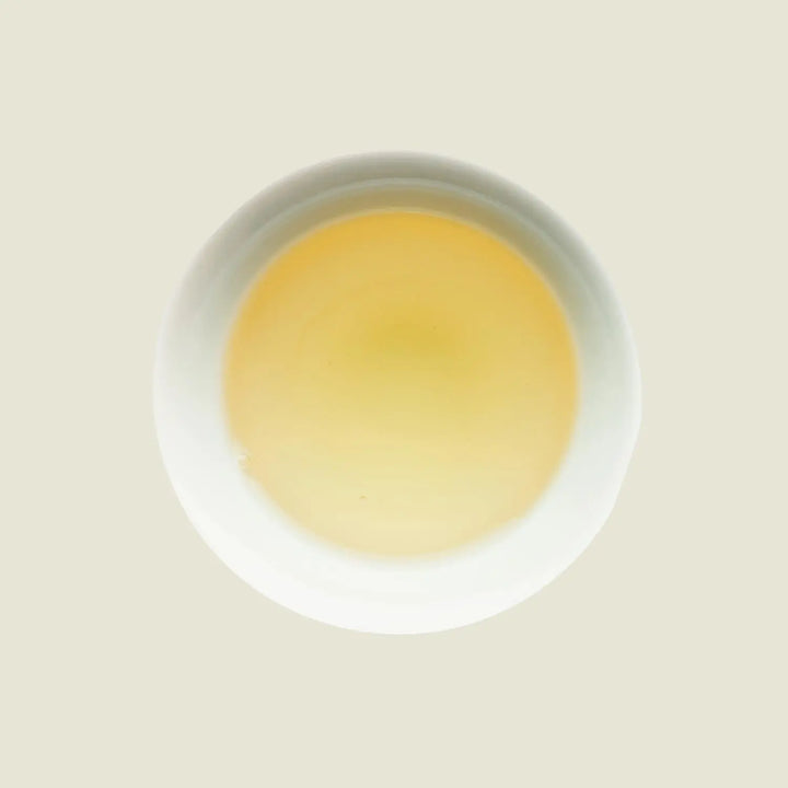 Kabusecha Miyazaki - Noema - Tassenfarbe hellgrün - von oben fotografiert