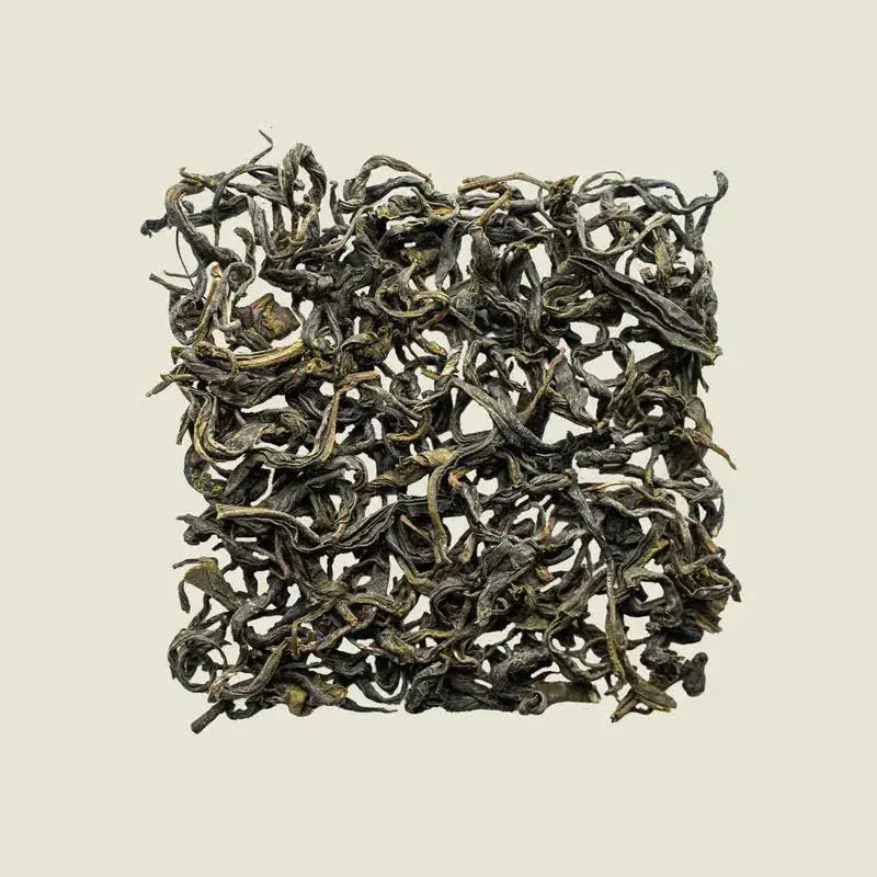 Mao Feng - Noema - Loser Tee von oben fotografiert