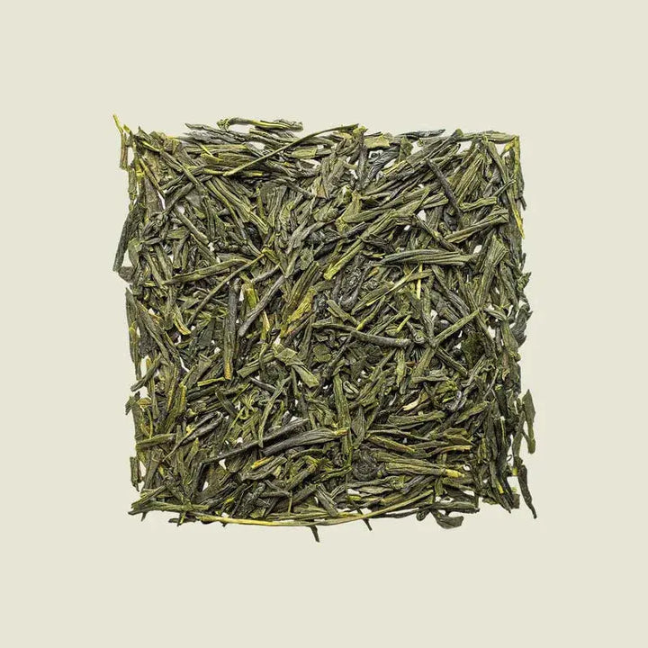 Moonlit Sencha - Noema - Loser Tee von oben fotografiert