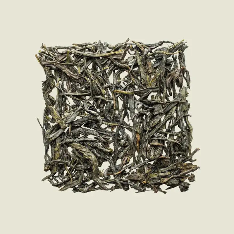 Palace Needle - Noema - Loser Tee von oben fotografiert