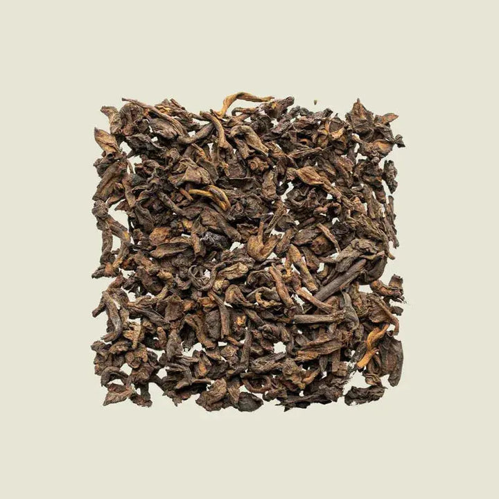 Pu Erh Menghai 5 Years - Noema - Loser Tee von oben fotografiert