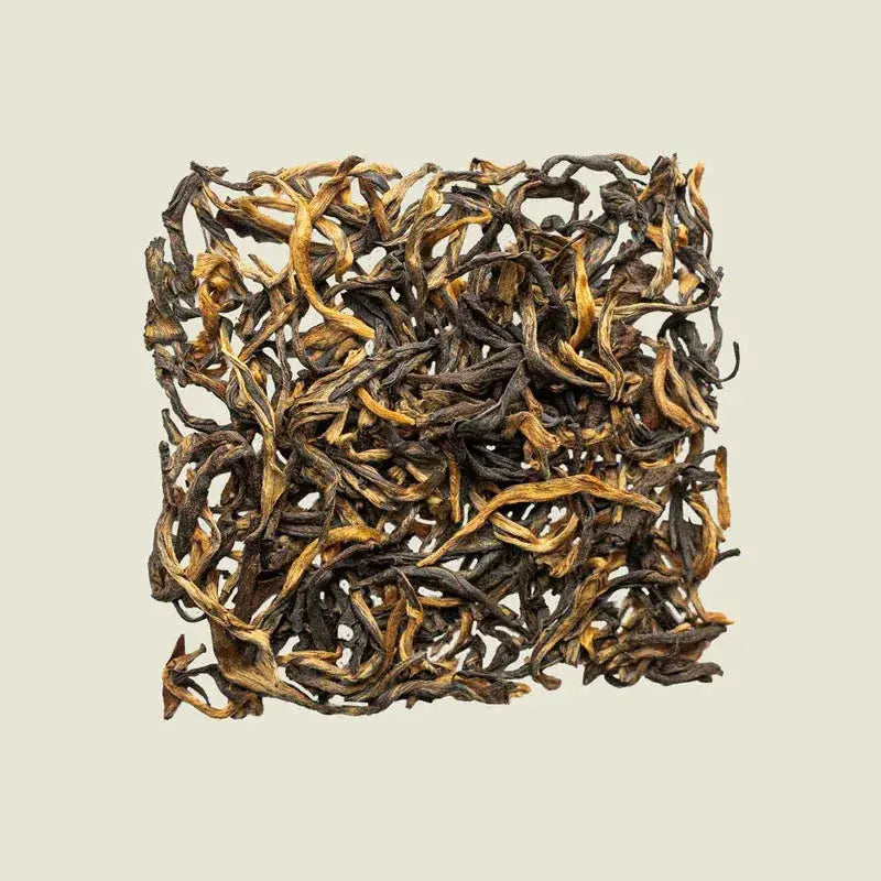 Special Golden Black - Noema - Loser Blatttee von oben fotografiert