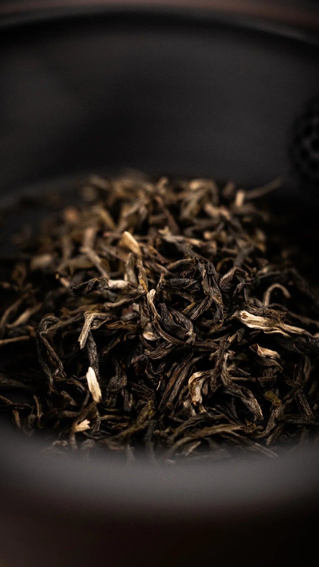 noema-unterschied-zwischen-oolong-und-pu-erh-tee - Noema