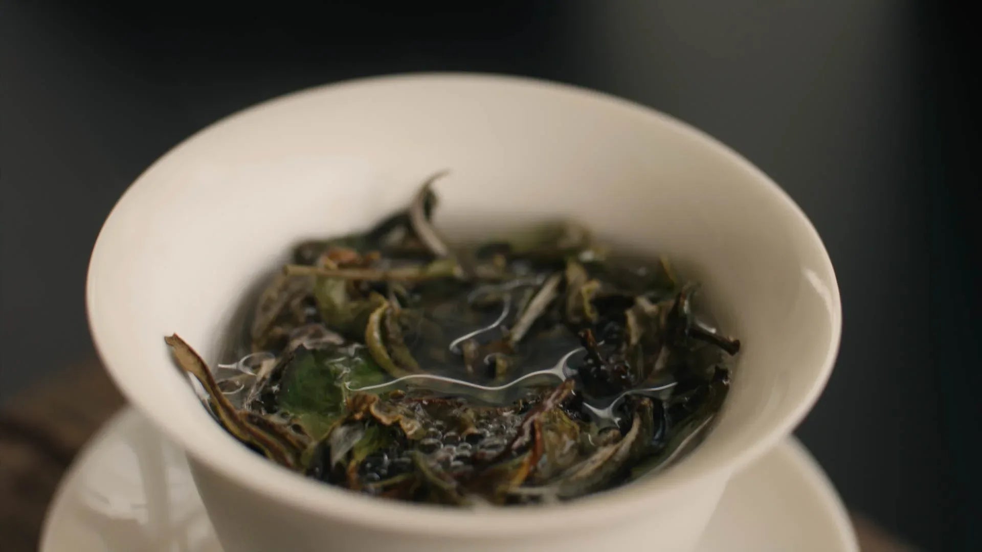 noema_pai_mu_tan_white_tea_leaves_in_gaiwan_with_water_tee_blaetter_in_gaiwan_mit_wasser - Noema