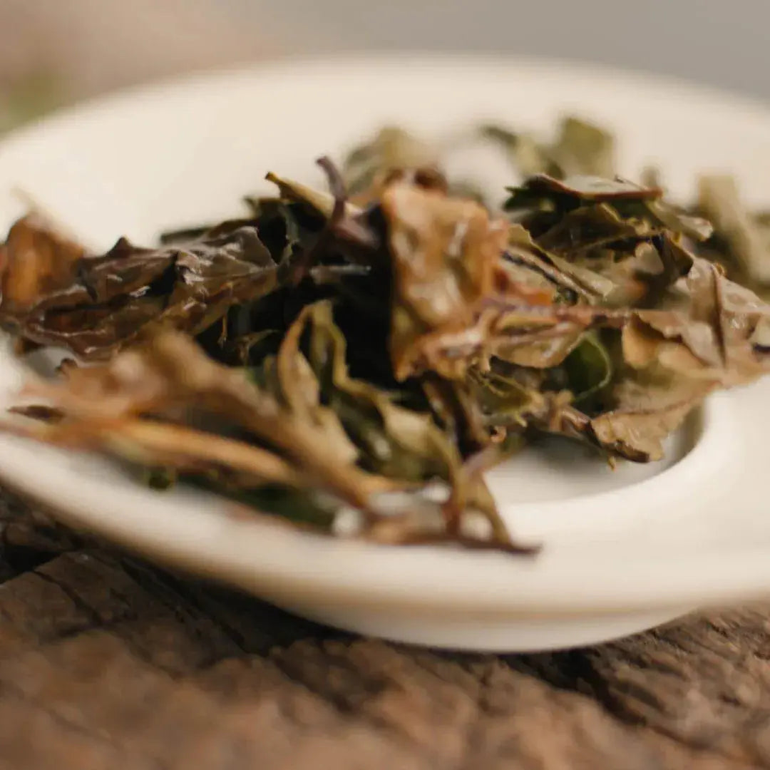 Pai Mu Tan (White Peony) - Noema