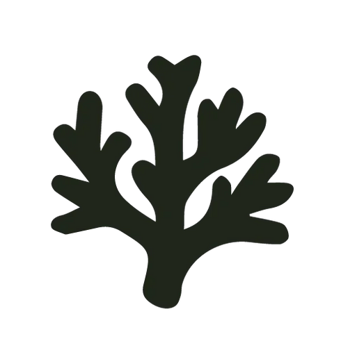 pine-resin-icon - Noema