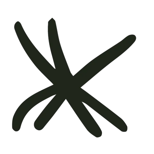 vanilla-icon - Noema