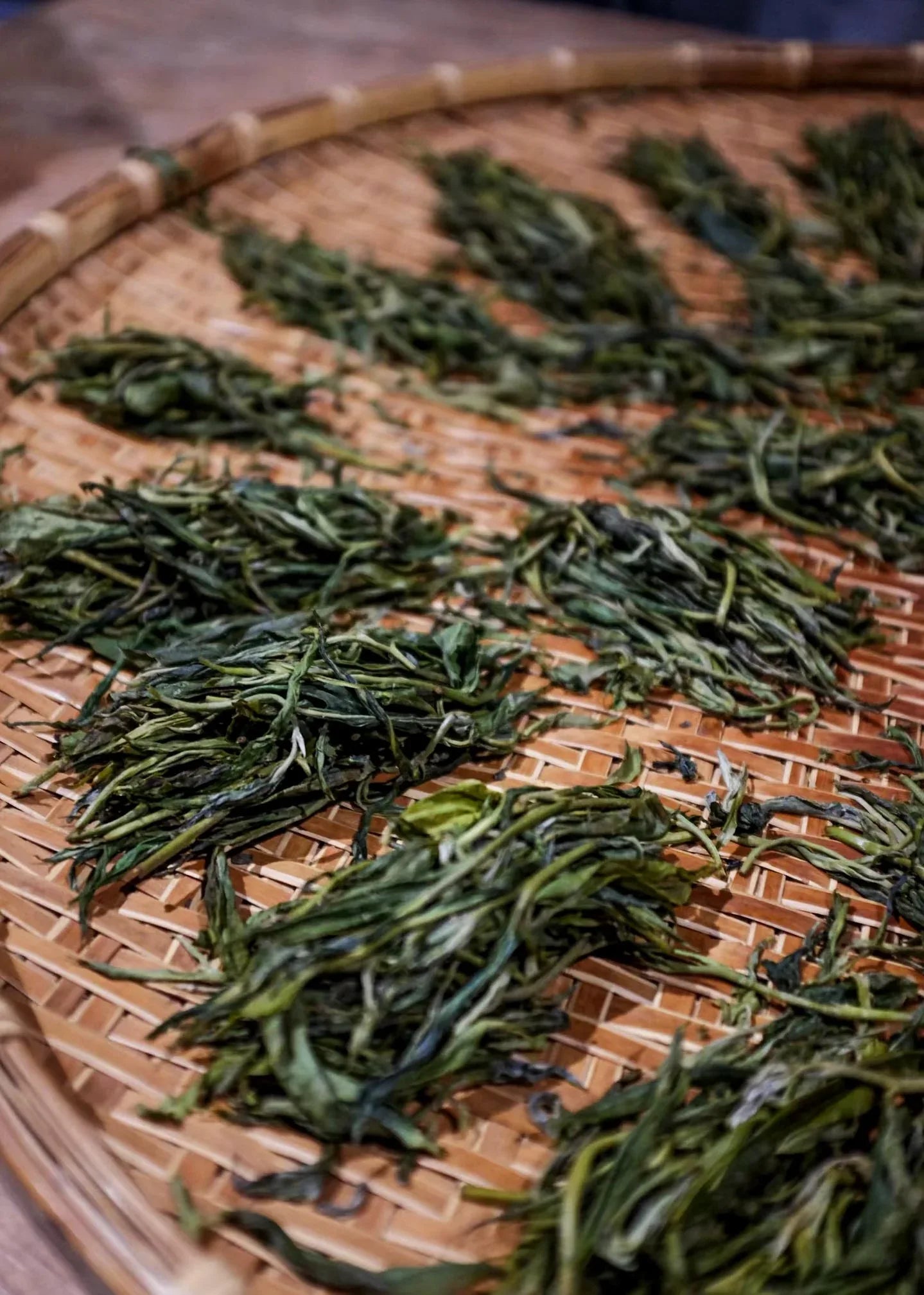 yournoema_puerh_fixierte_blaetter_detail - Noema