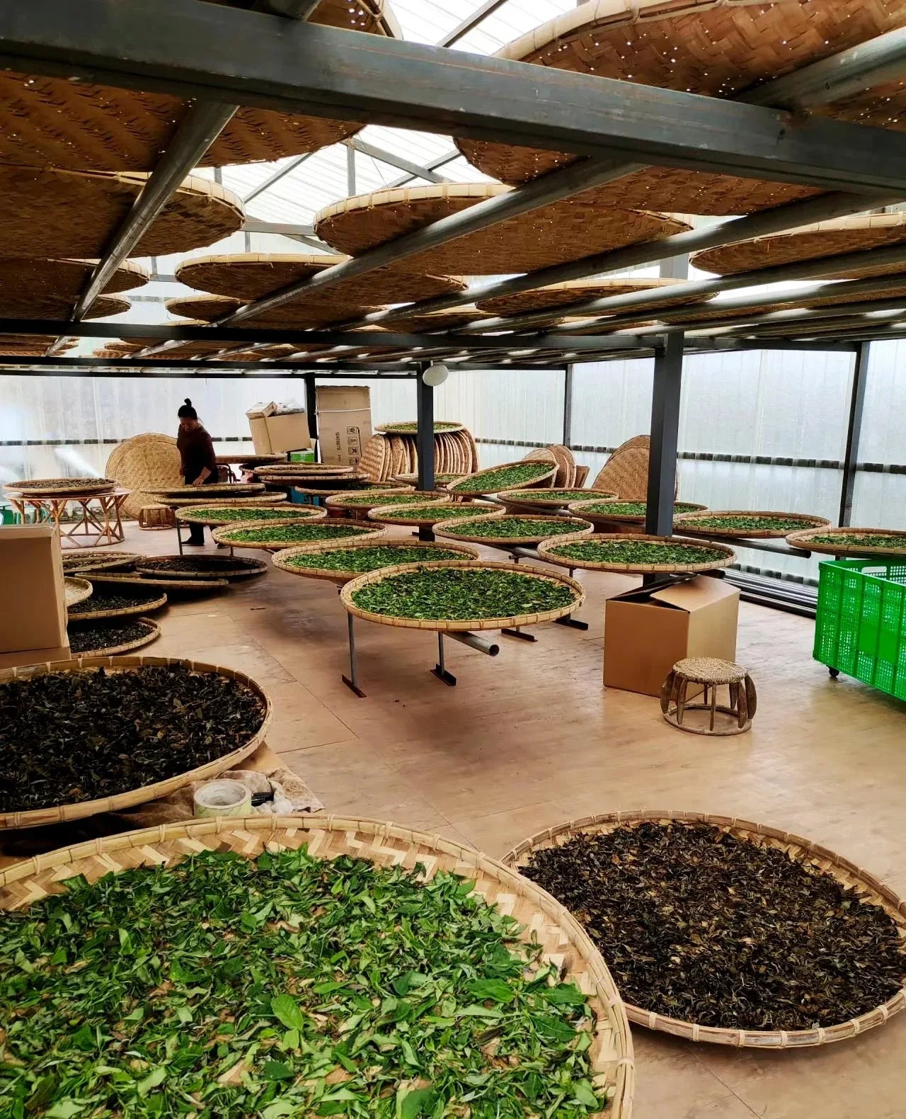 yournoema_puerh_verarbeitung_raum - Noema